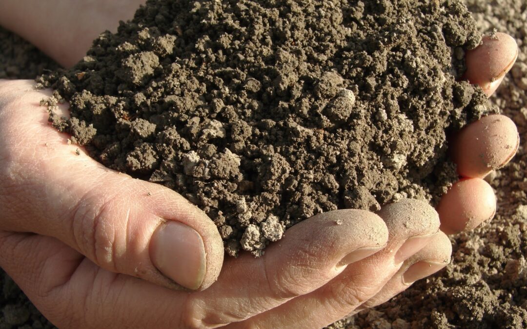The Essential Guide to Professional Soil Amendment